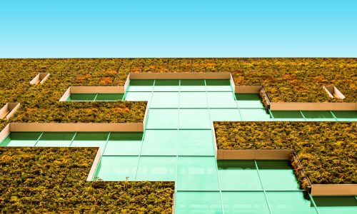 photo-1508063449253-334e0fb561d2